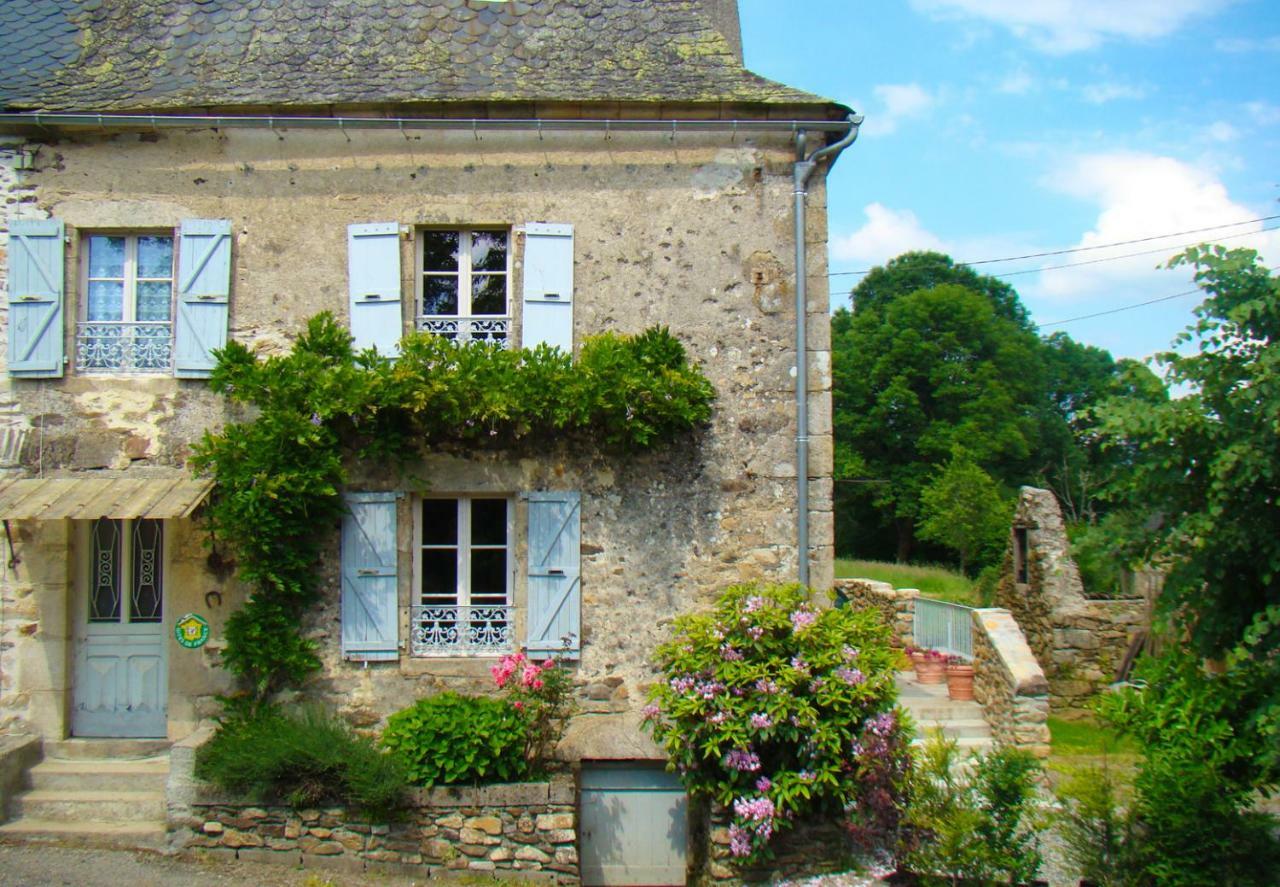 La Glycine * Saint-Martial-Entraygues